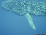 WaterWorld_04.jpg