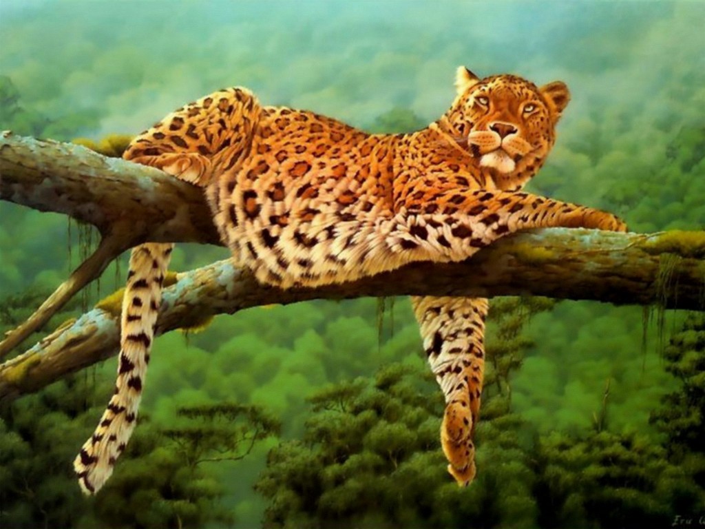 animals4.jpg