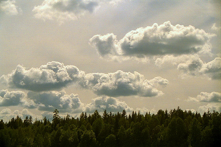 Облака над лесом