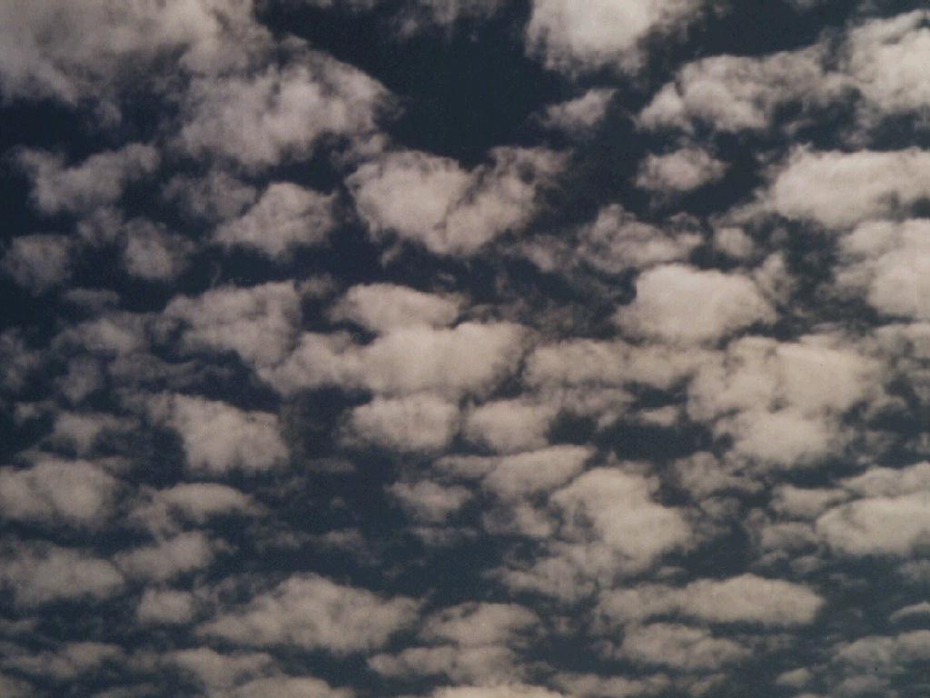 Cloud - Flock of sheep