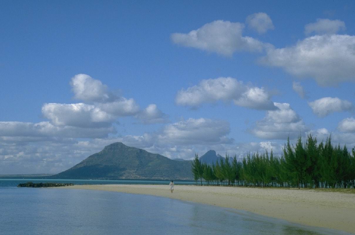 IMG0077.jpg