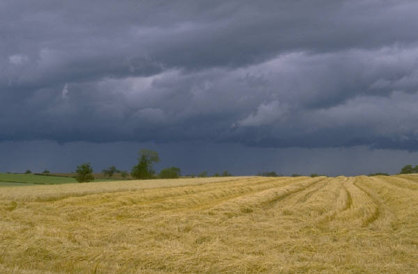 Cumulonimbus