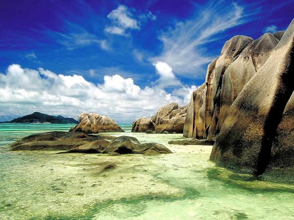 nature120.jpg