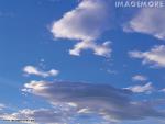 In the sky, as in the sea - Moray and the other inhabitants