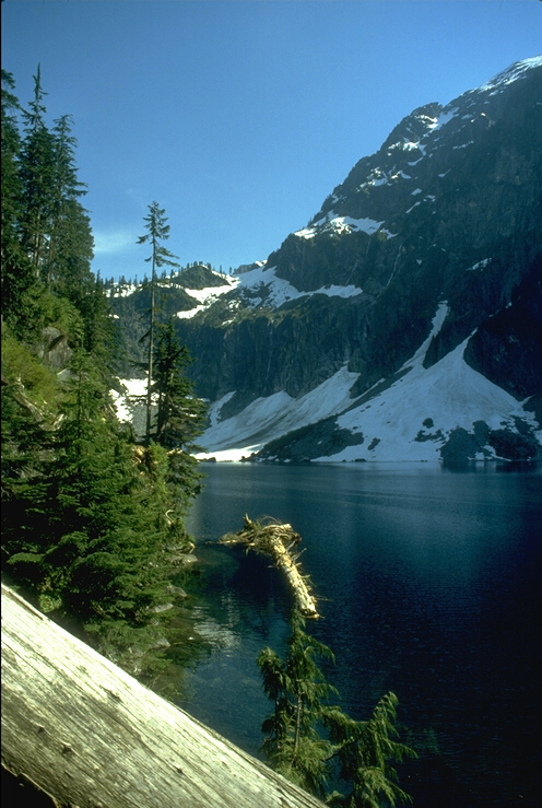 026020B.JPG