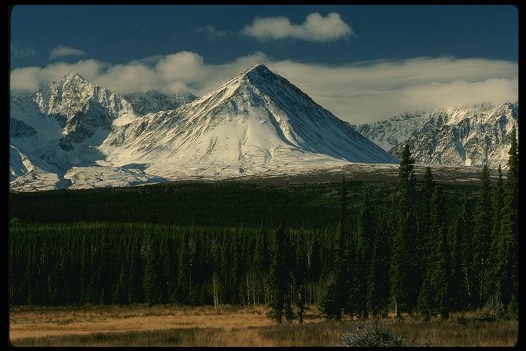 200042.JPG