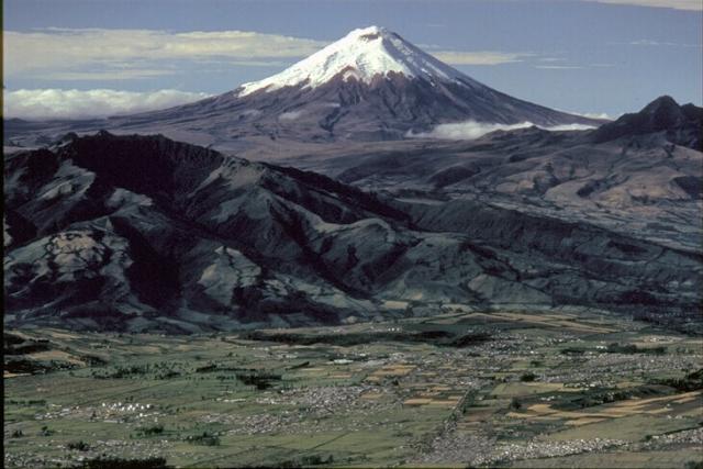 459008.JPG