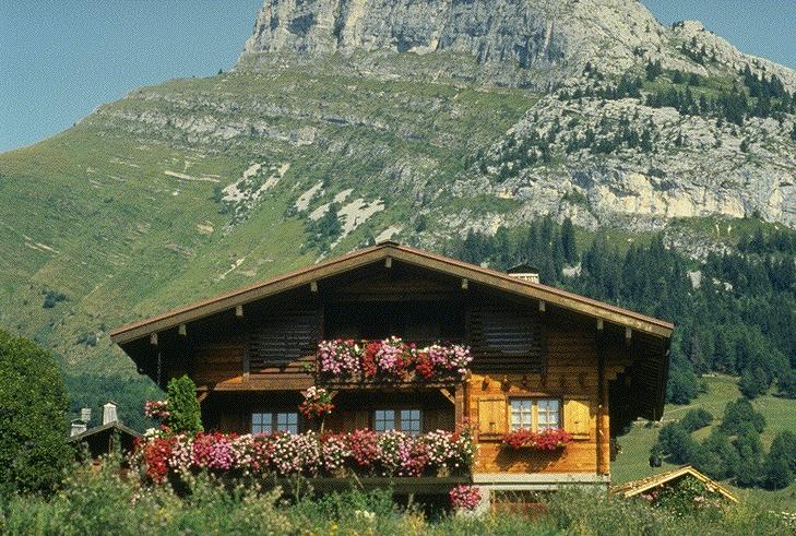 IMG0009.JPG