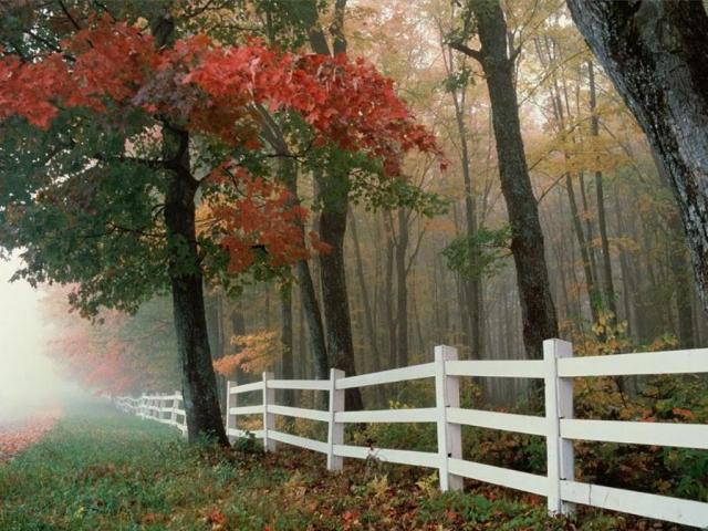 nature108.jpg
