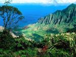 nature81.jpg