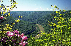 NATURE20.JPG