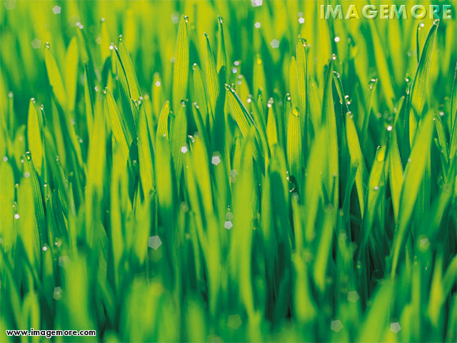 sample17.jpg