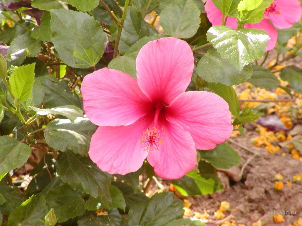 1024-7483.jpg
