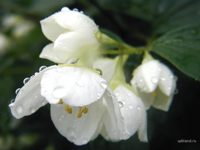 1024-7500.jpg