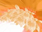 eMotions_20_orange_20ver__.jpg