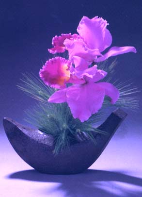FL019.JPG