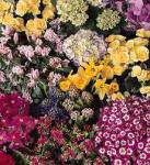 flower12_4_3.jpg