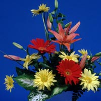 IMG14.JPG