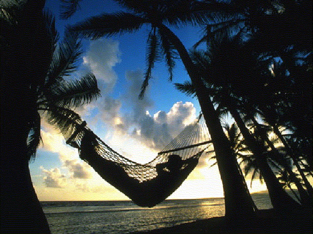 HAMMOCK.jpg