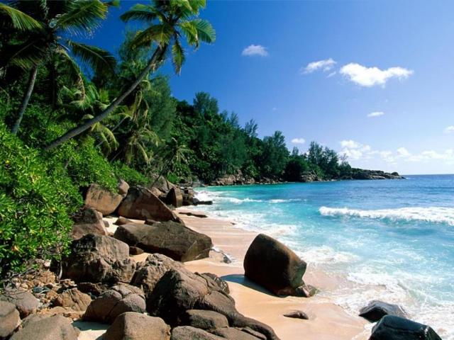 nature126.jpg