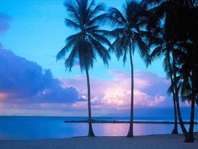 St_ Anne Beach_ Guadeloupe_ Caribbean Islands.JPG