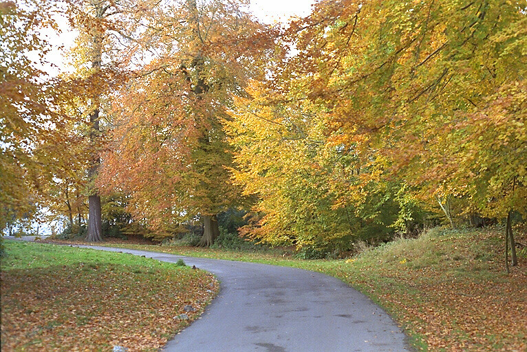 AUTUMN3.JPG