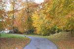 AUTUMN3.JPG
