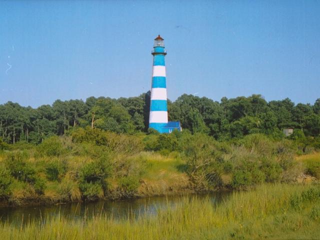 image8.jpg