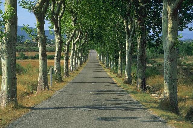 Img0086.jpg