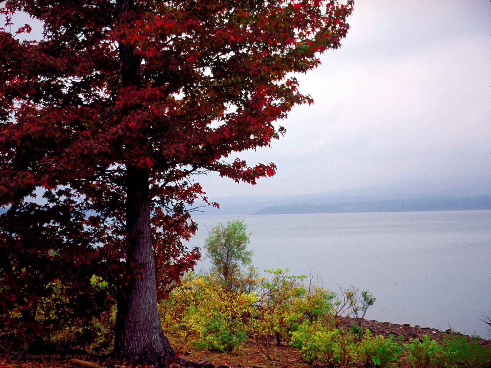 imga003_1600.JPG