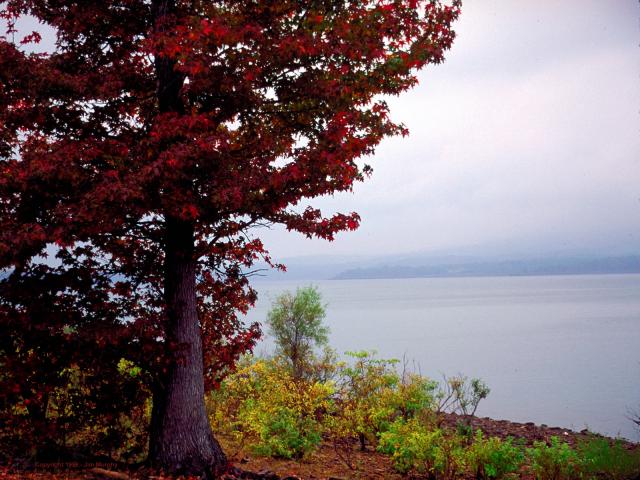 imga003_1600.JPG