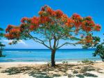 La Boca Beach_ Trinidad_ Cuba.JPG