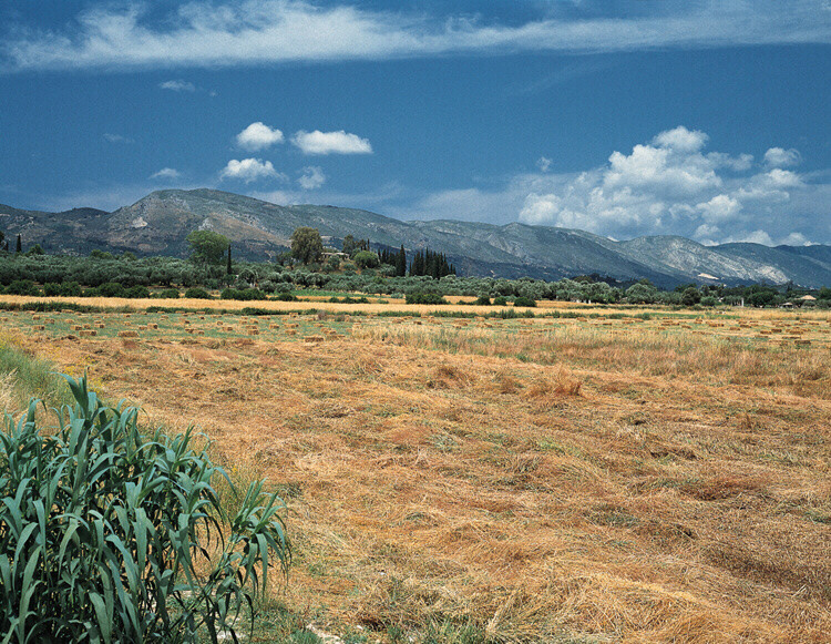 LSCAPE3.JPG