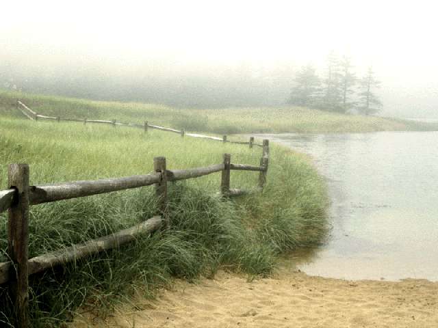 MARSH.JPG