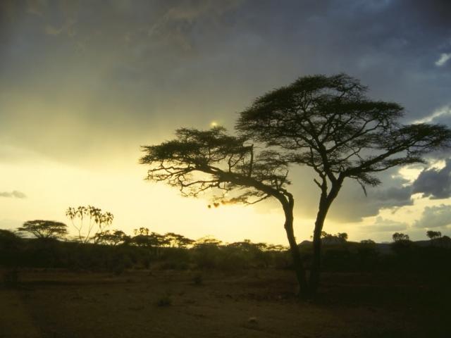 N460031.JPG