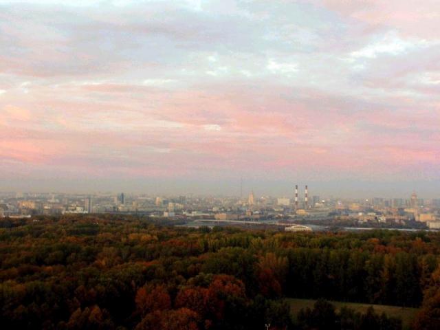 nature206.jpg