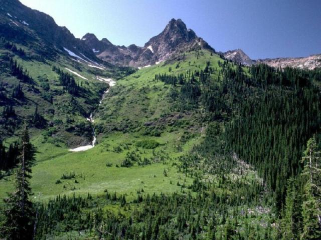 nature28.jpg