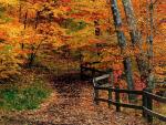 nature46.jpg