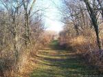 Nature_26.jpg