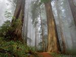 Nature_29.jpg