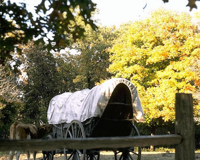 PPIC0899.JPG