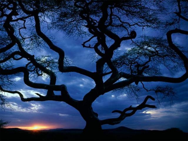 Serengeti National Park_ Tanzania.JPG