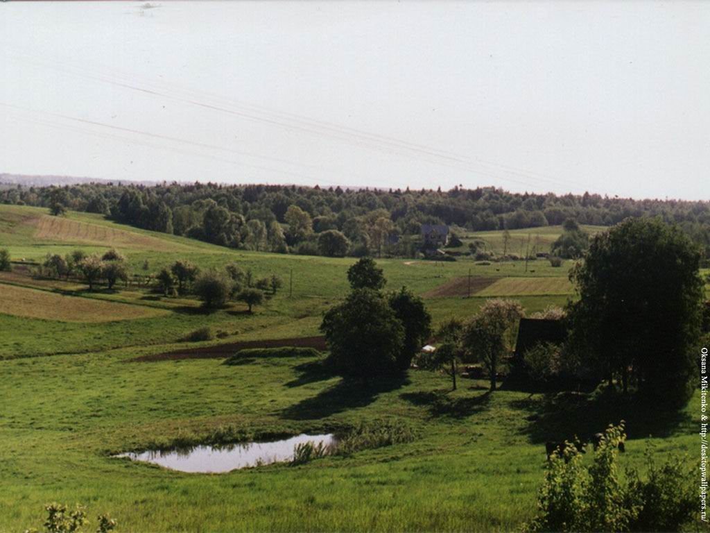 vilage.jpg