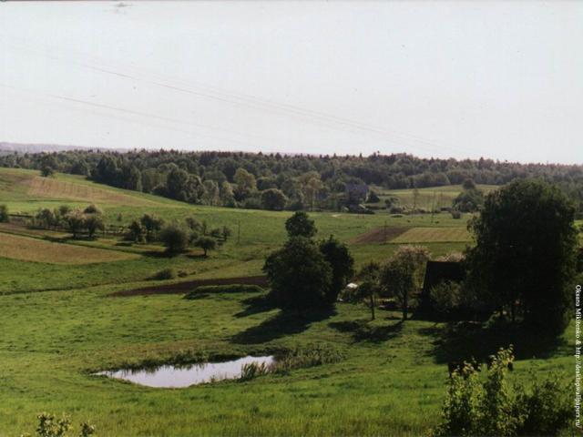 vilage.jpg