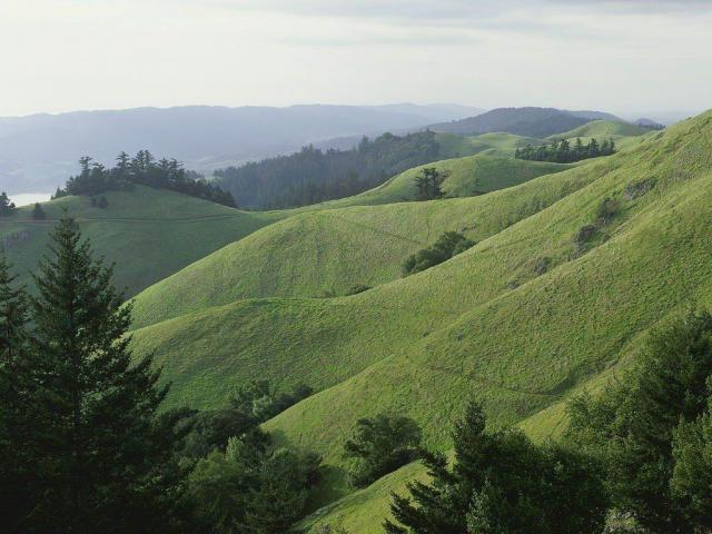 20070905_001.jpg