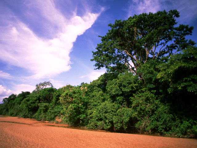 TR097.JPG