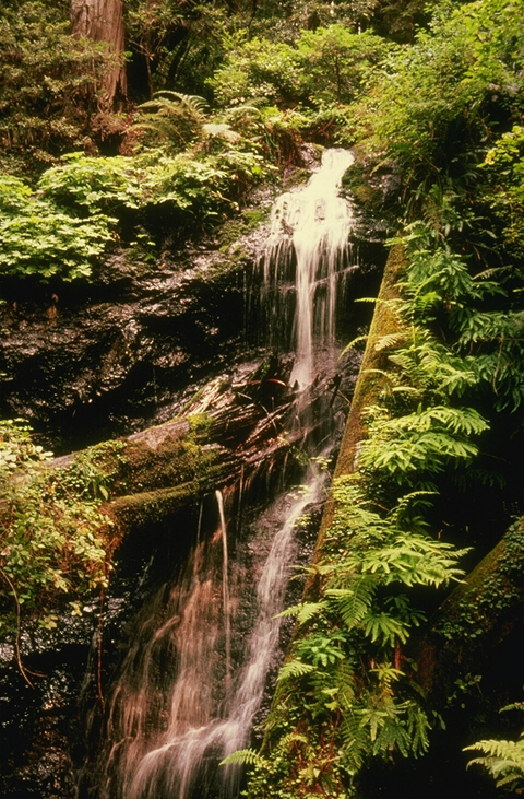 048074B.JPG