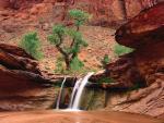 Coyote Gulch_ Escalante River Canyons_ Utah.JPG