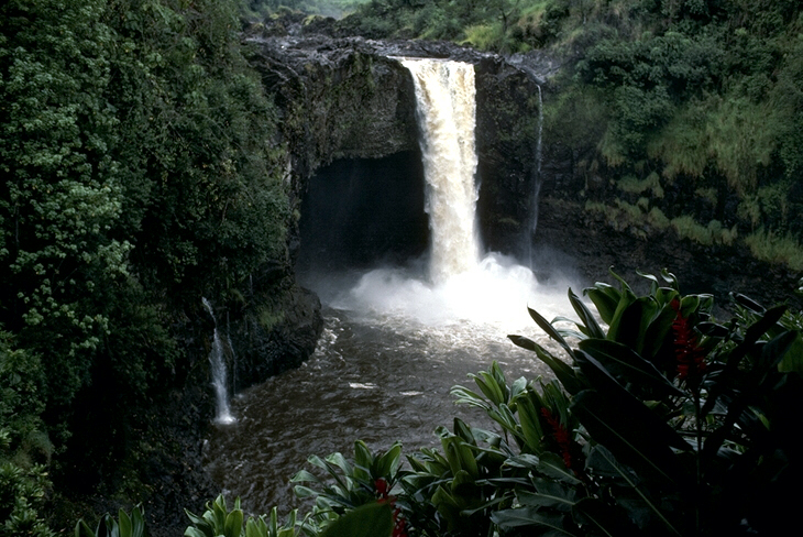 NATURE07.JPG