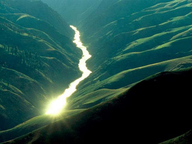 nature136.jpg